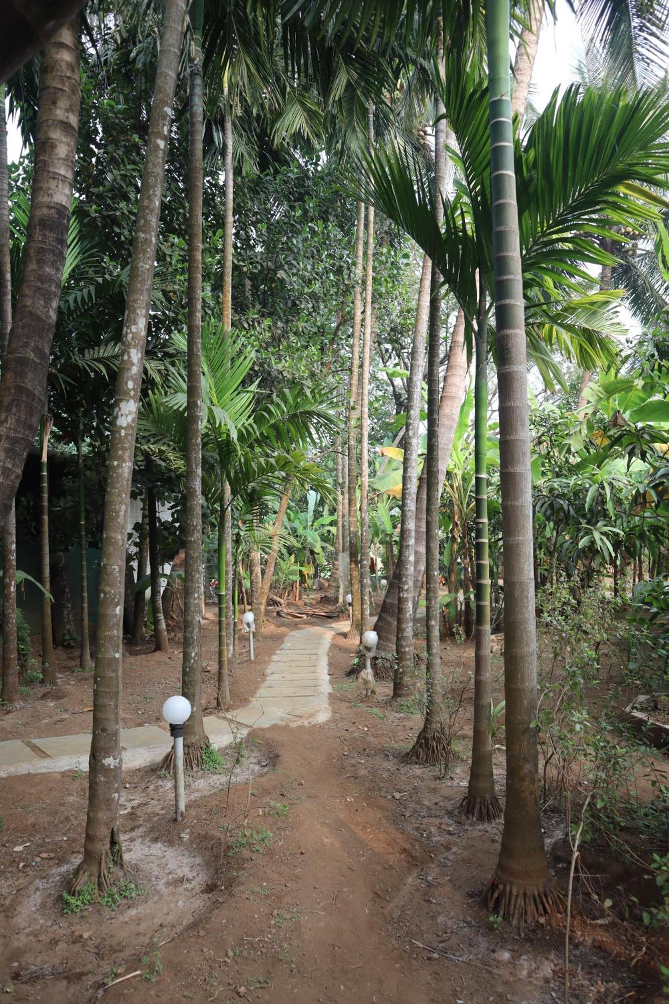 Gokul Cottage & Villa Revadanda エクステリア 写真